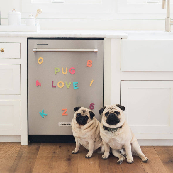 36pc Rainbow Pop Magnetic Letters