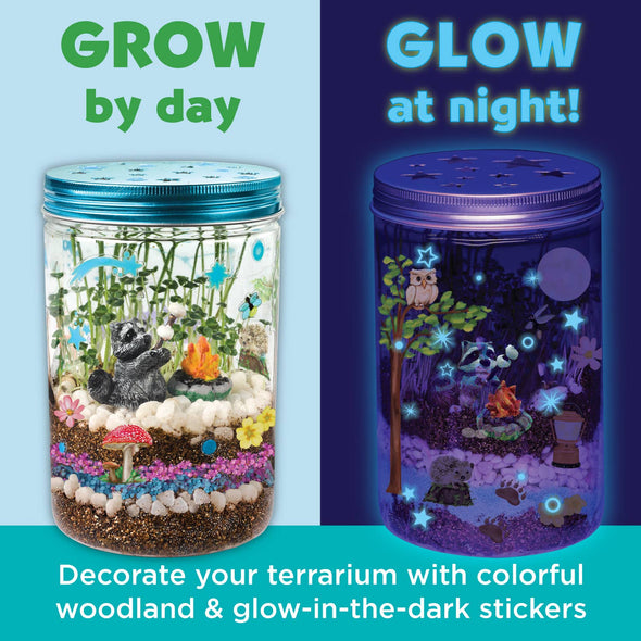 Grow N' Glow Terrarium Kit