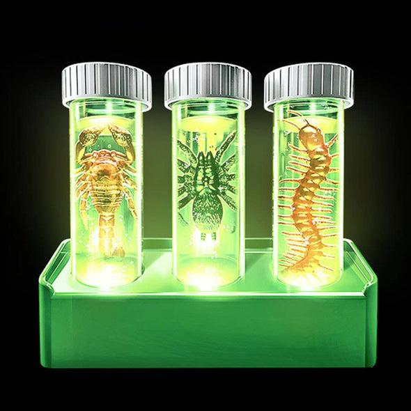 KidzLabs Glow Critter Lab