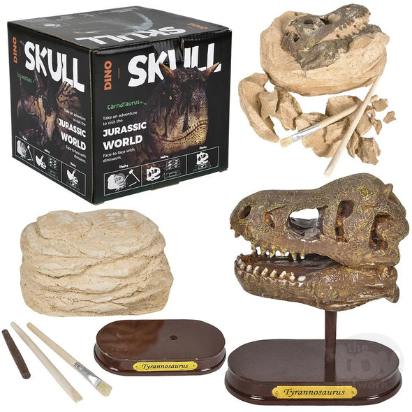 T-Rex Skull Excavation Kit
