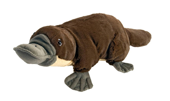 CK Platypus Stuffed Animal 12"