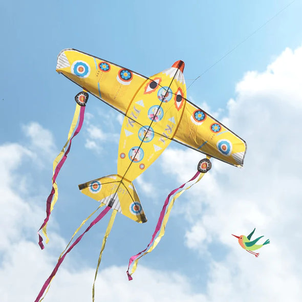 Maxi Airplane Kite