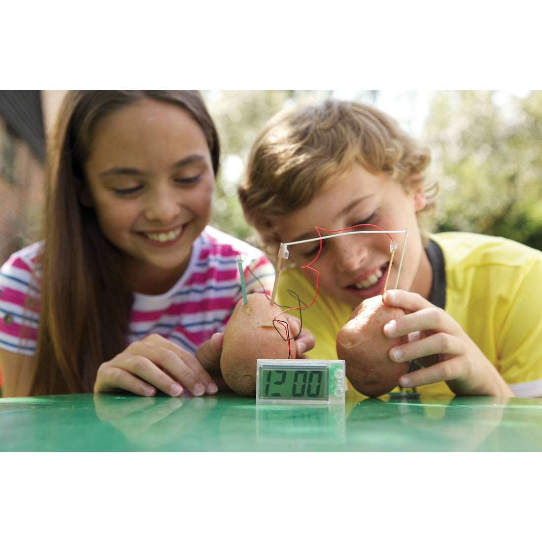 Potato Clock Science Project Kit – The TCMU Store