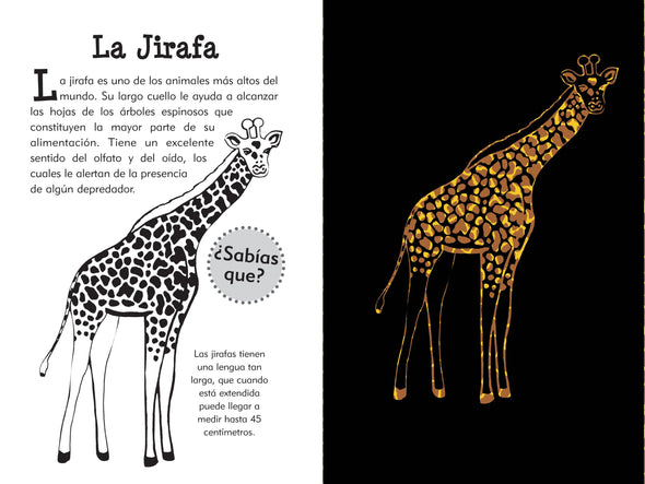 Scratch & Sketch - Animales Salvajes (Spanish)
