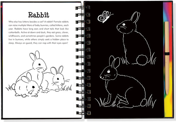 Scratch & Sketch - Forest Friends
