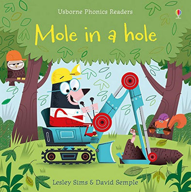 Mole in a Hole Book