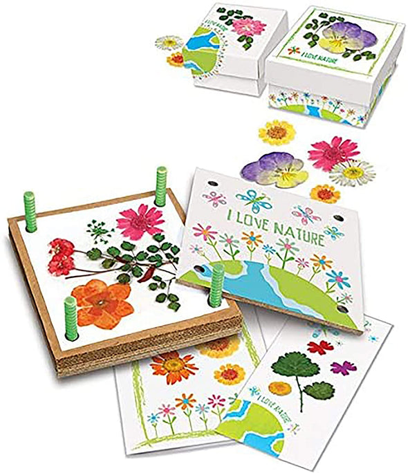 Pressed Flower Art