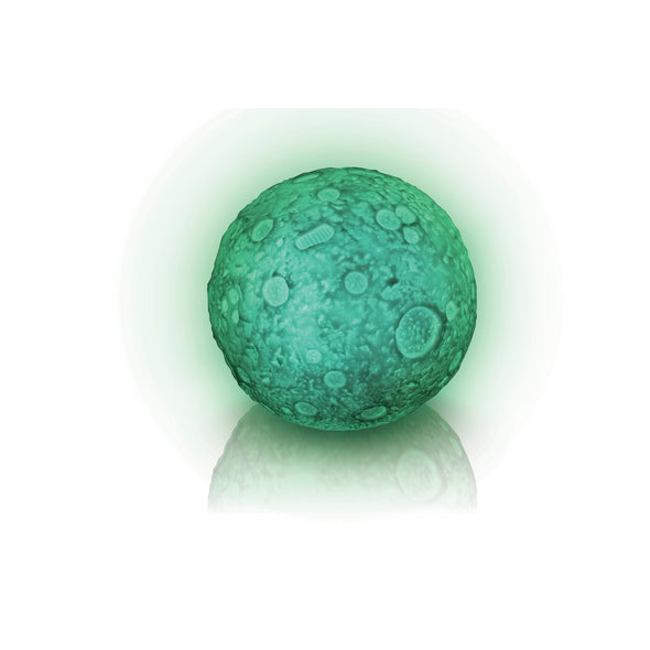 Lunar Light Show