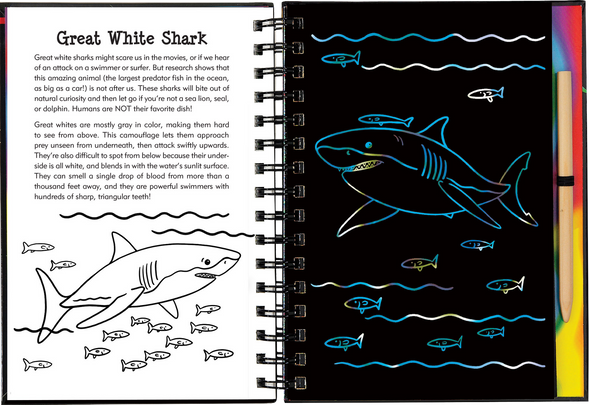 Sharks Scratch and Sketch