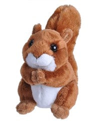 Pocketkins Squirrel Plush